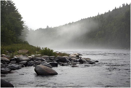 Miramichi River